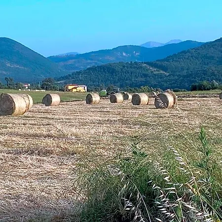 Zio Domenico 3*