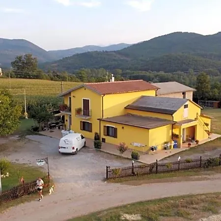 Zio Domenico