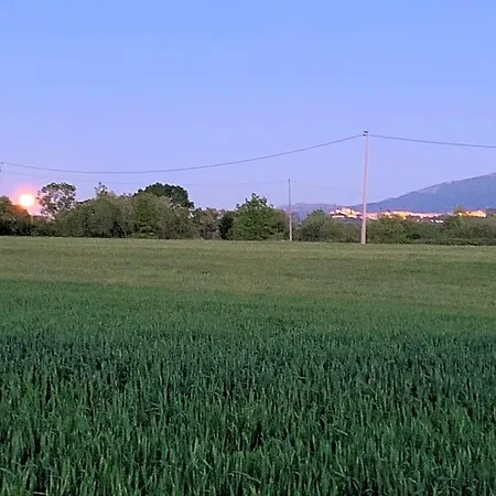 Zio Domenico 3*