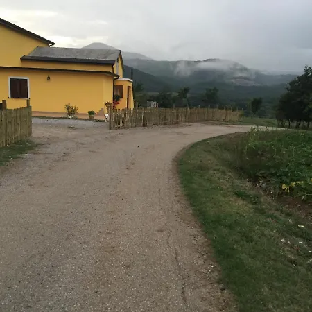 Zio Domenico *