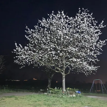 Bed & Breakfast Zio Domenico 3*