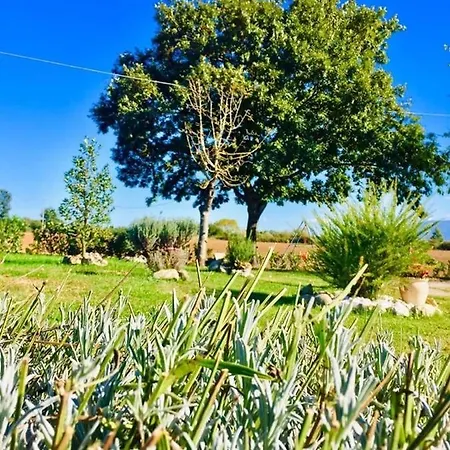Bed & Breakfast Zio Domenico Grumento Nova