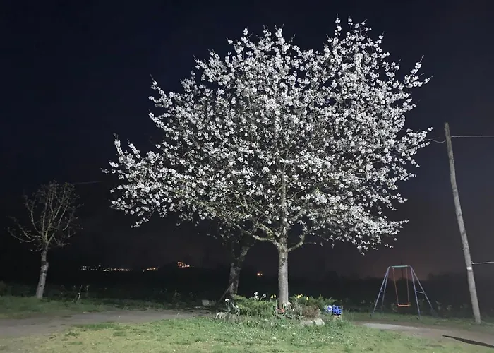 Bed & Breakfast Zio Domenico 3*