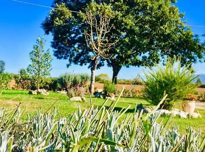 Bed & Breakfast Zio Domenico Grumento Nova